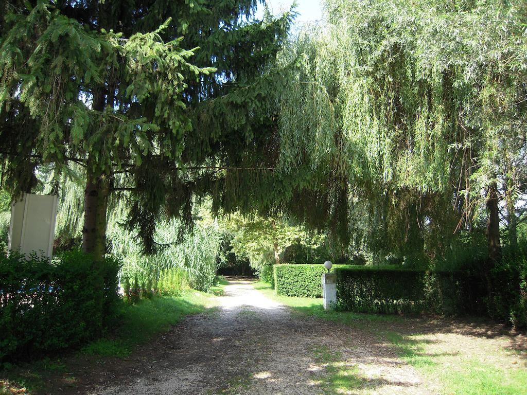 Balf Panzio Bed & Breakfast Sopron Eksteriør bilde