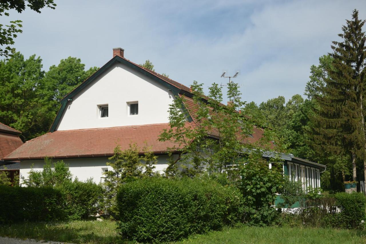 Balf Panzio Bed & Breakfast Sopron Eksteriør bilde